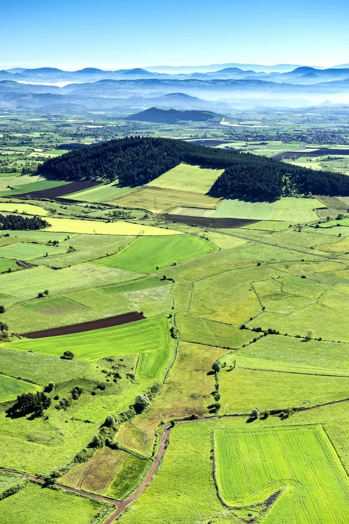 Vue sur des champs de lentille verte AOP du Puy-en-Velay